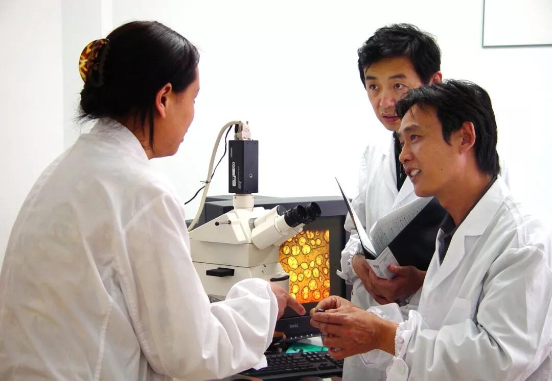 人生就是博·(中国区)官方网站