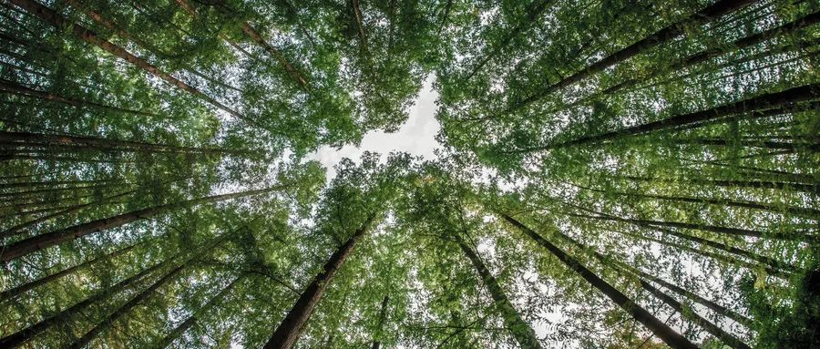 人生就是博·(中国区)官方网站